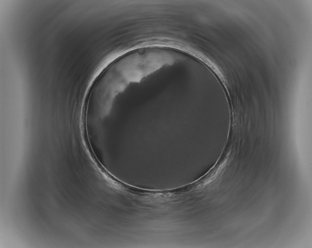X0000115351533200911101126