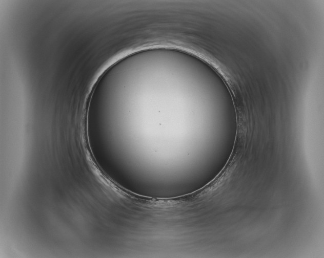 X0000115351534200911101126