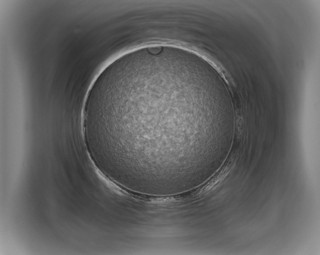 X0000115351535200911101126