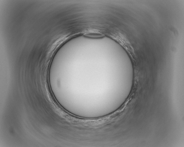 X0000115350001200911171342