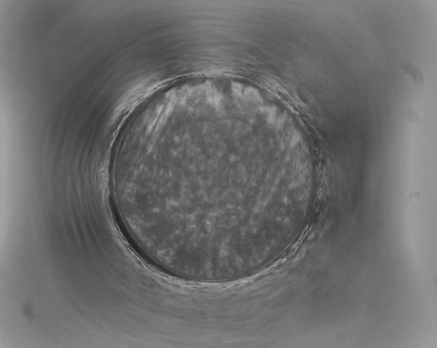 X0000115350002200911171342