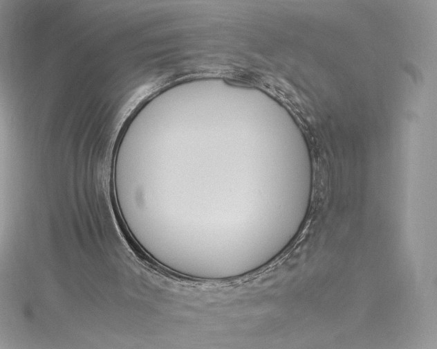 X0000115350003200911171342