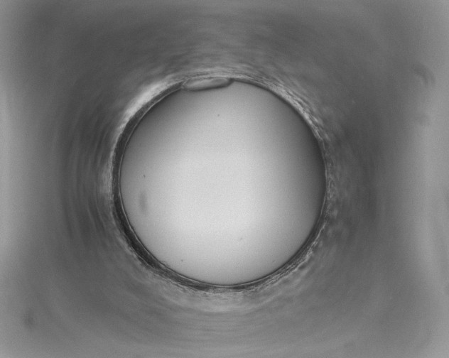 X0000115350008200911171341