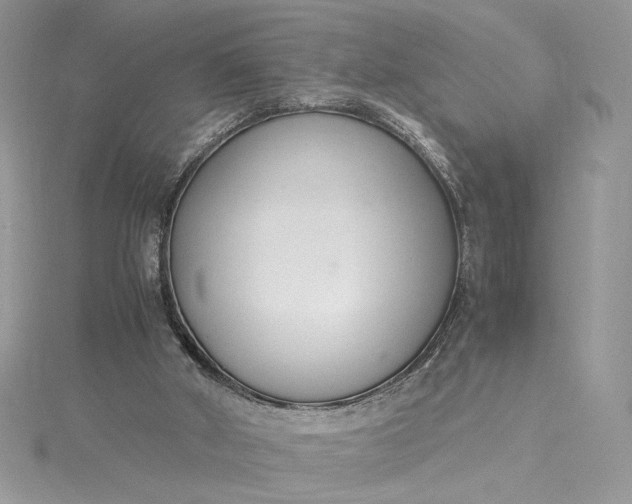 X0000115350010200911171341