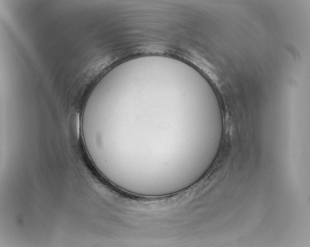 X0000115350013200911171341