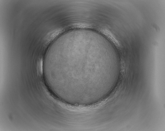 X0000115350014200911171341