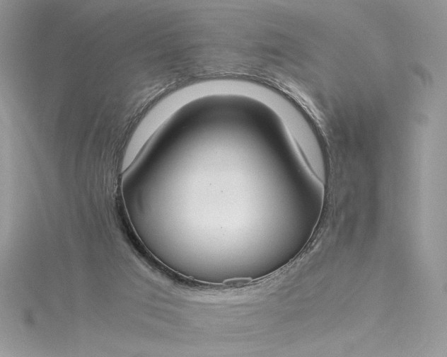 X0000115350017200911171341