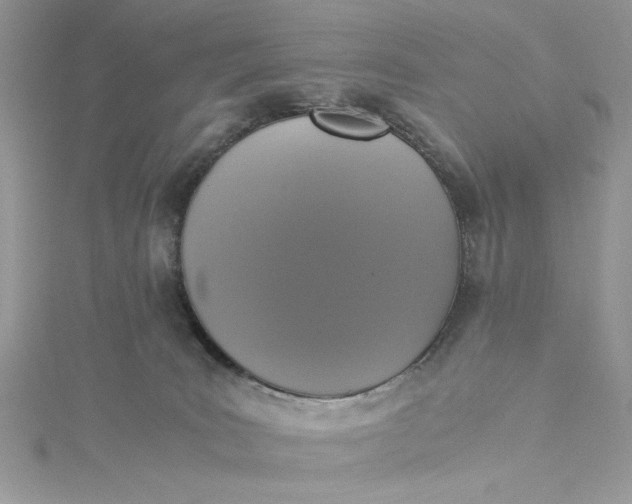 X0000115350035200911171341
