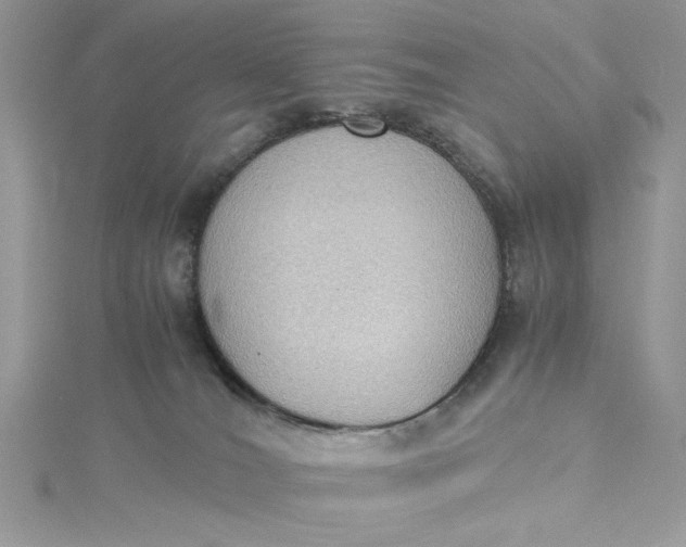 X0000115350036200911171341