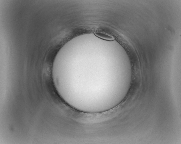 X0000115350037200911171341