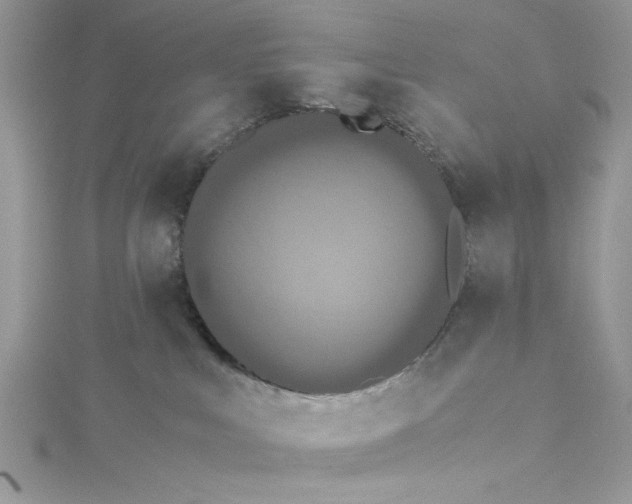 X0000115350043200911171341
