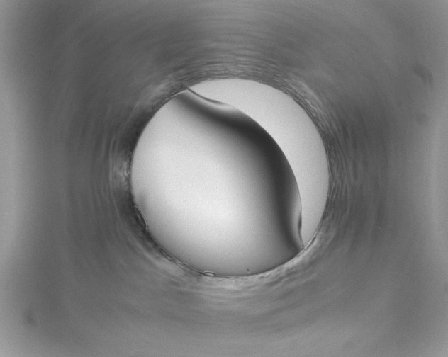 X0000115350045200911171341
