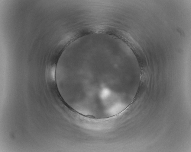 X0000115350047200911171341