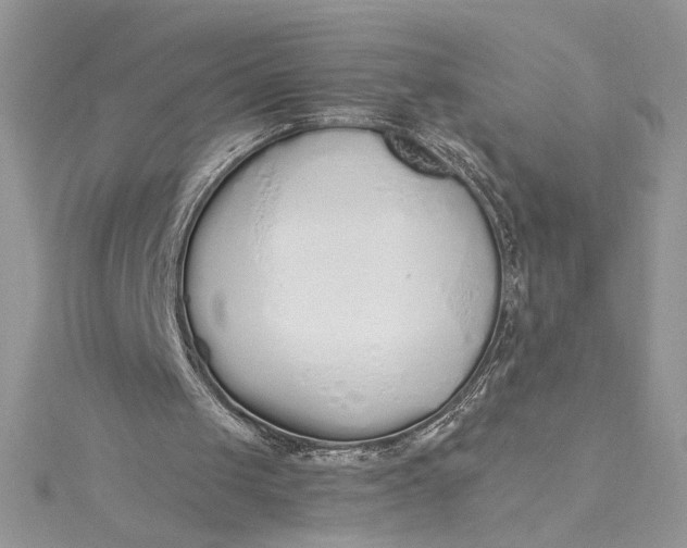 X0000115350049200911171340