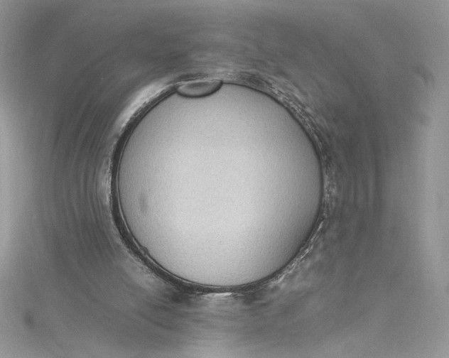 X0000115350054200911171340