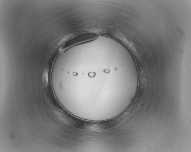 X0000115350062200911171341