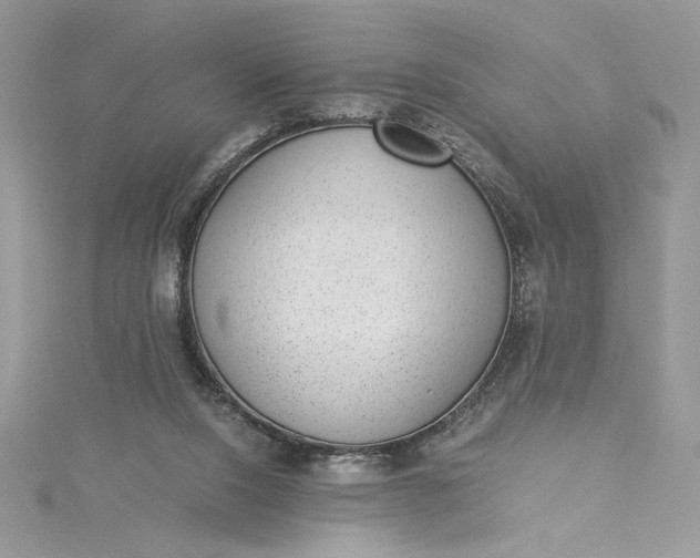 X0000115350064200911171341