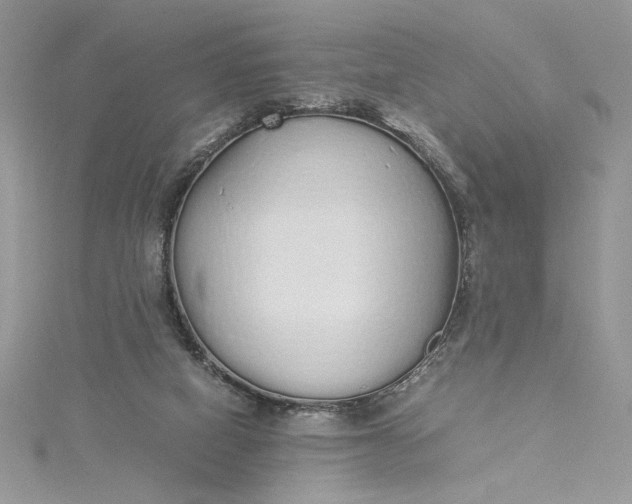 X0000115350066200911171341