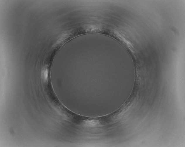 X0000115350067200911171341