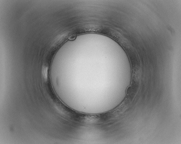 X0000115350070200911171341