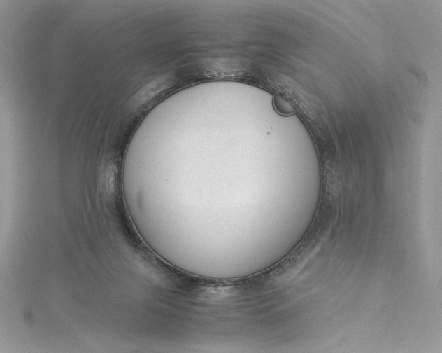 X0000115350071200911171341