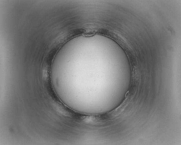 X0000115350074200911171341