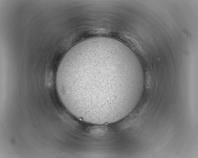 X0000115350077200911171341