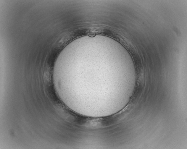 X0000115350078200911171341