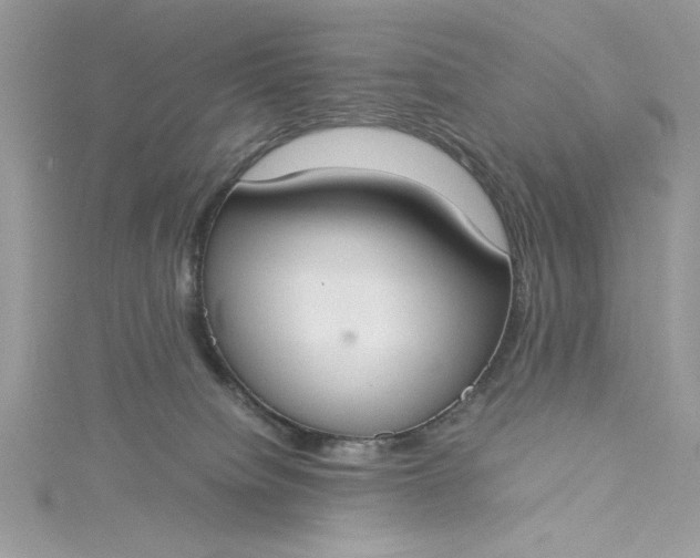 X0000115350084200911171341
