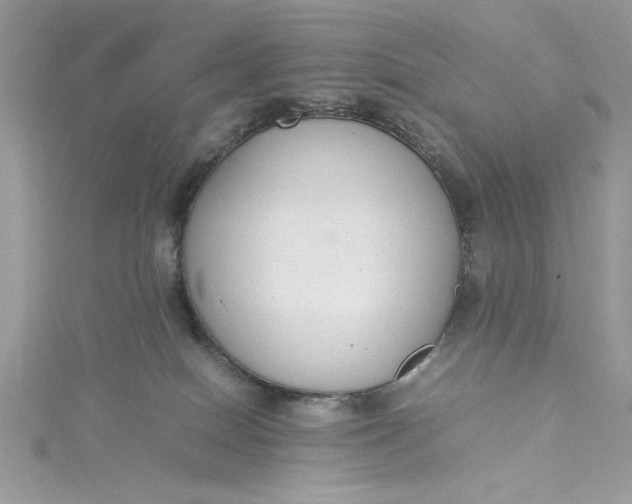 X0000115350086200911171341