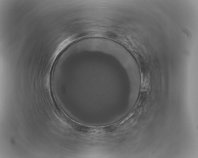X0000115350099200911171340