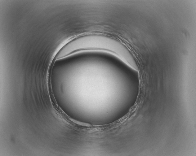X0000115350100200911171340