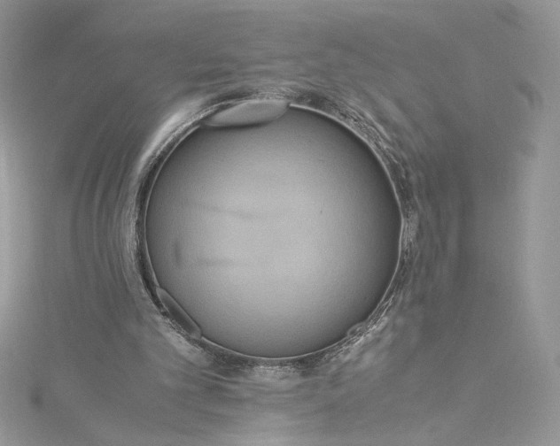 X0000115350101200911171340