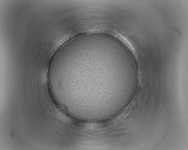 X0000115350105200911171340