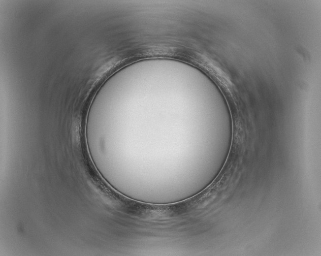 X0000115350107200911171340