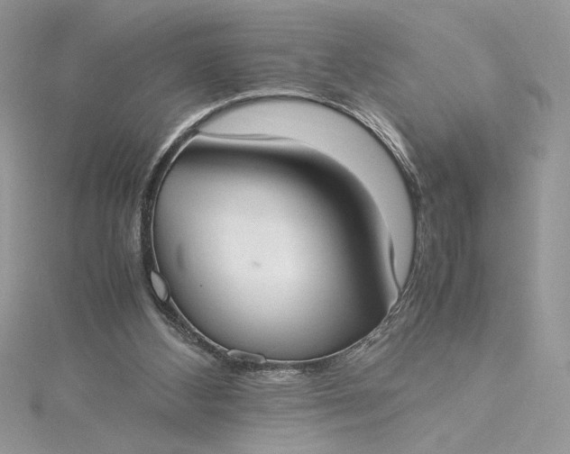 X0000115350108200911171340