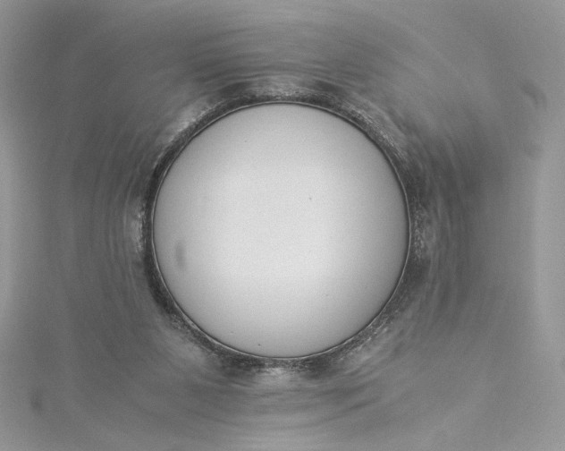X0000115350111200911171340