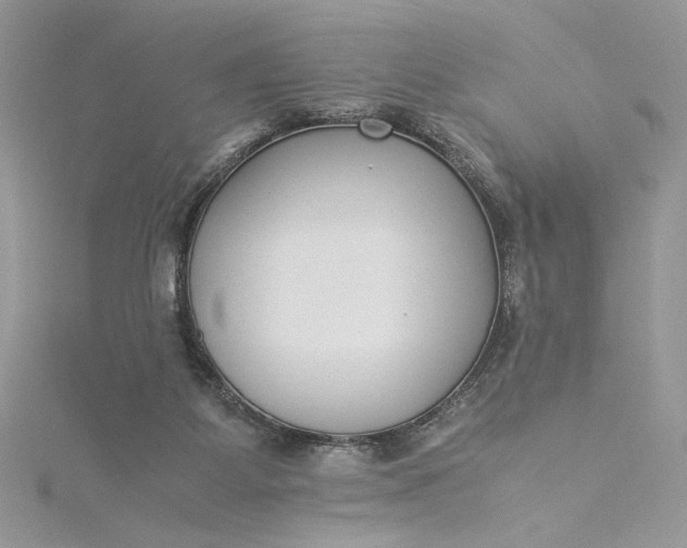 X0000115350115200911171340