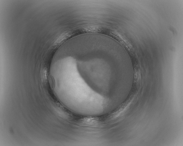 X0000115350117200911171340