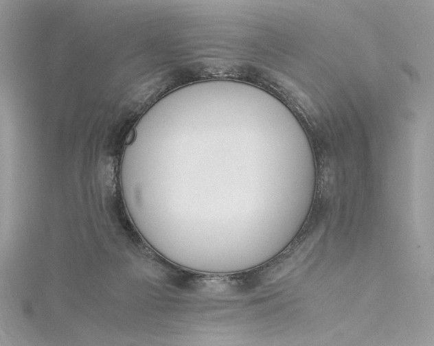 X0000115350121200911171340