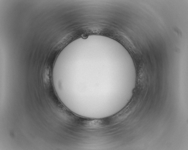 X0000115350122200911171340