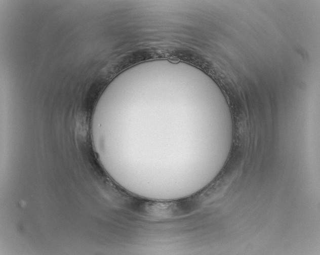 X0000115350129200911171340