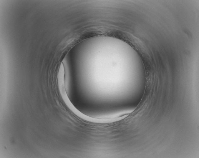 X0000115350137200911171340