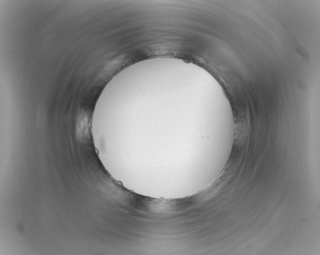 X0000115350142200911171340