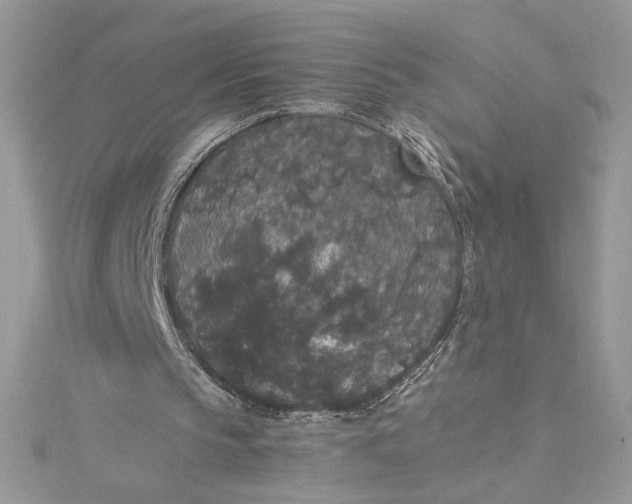 X0000115350145200911171339