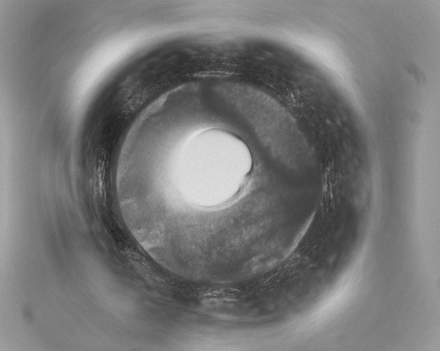 X0000115350146200911171339