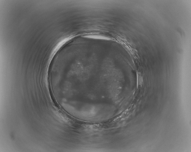 X0000115350147200911171339