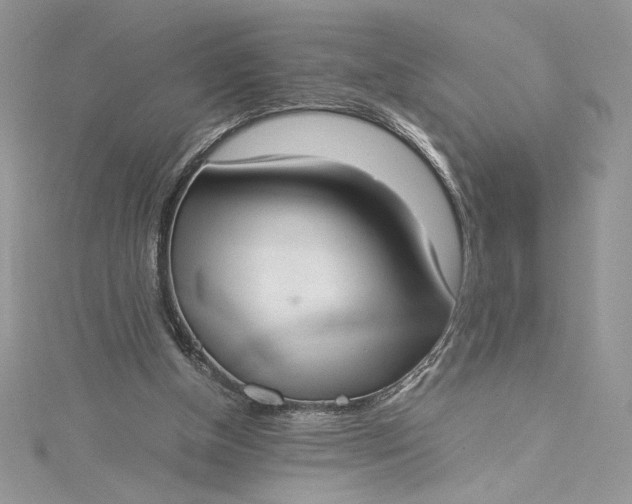 X0000115350154200911171339