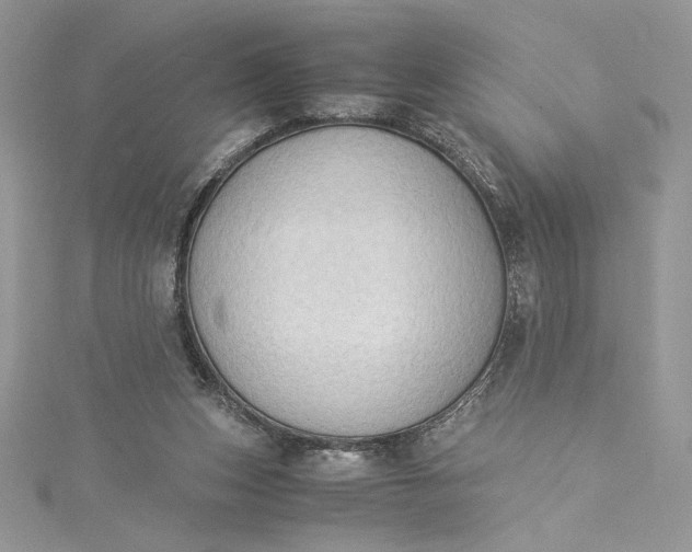 X0000115350159200911171339