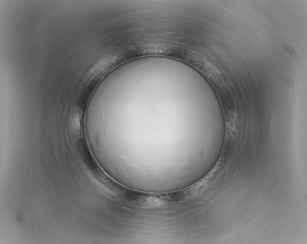 X0000115350166200911171339